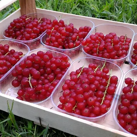 Tenuta Valletti. Lägenhet *