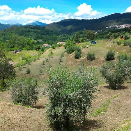 Tenuta Valletti. * Sesta Godano