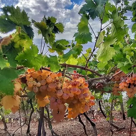 Lägenhet Tenuta Valletti.
