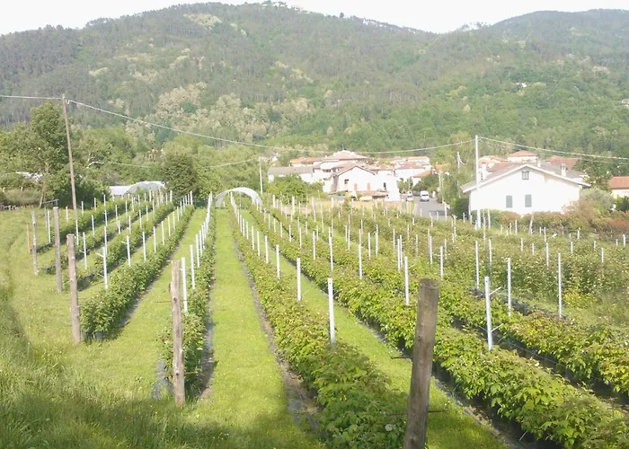 Lejlighed Tenuta Valletti. Sesta Godano